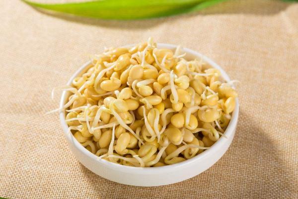 黃豆芽對肝臟有好處嗎 黃豆芽對糖尿病人有什么好處 黃豆芽對肝臟有好處嗎 黃豆芽對糖尿病人有什么好處