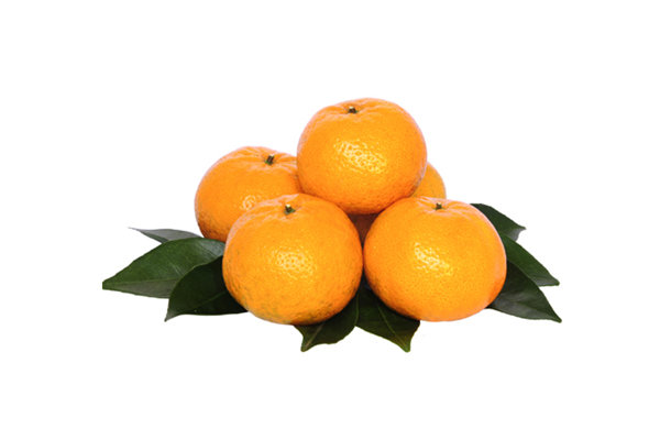 蘆柑的熱量高不高 蘆柑減肥可以吃嗎 蘆柑的熱量高不高 蘆柑減肥可以吃嗎