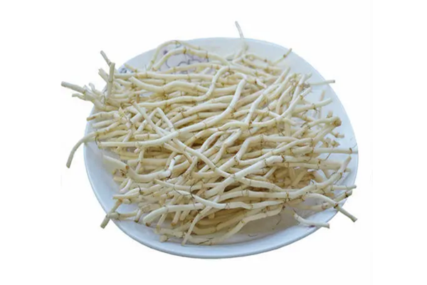 魚(yú)腥草是哪里的特產(chǎn) 魚(yú)腥草是不是折耳根