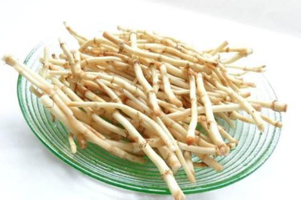 魚(yú)腥草為什么有腥味 魚(yú)腥草怎么去腥味