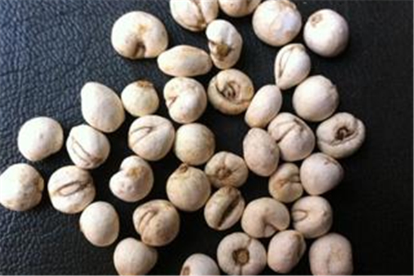 平貝母可以燉雪梨嗎 平貝母煮梨多久能吃 平貝母可以燉雪梨嗎 平貝母煮梨多久能吃