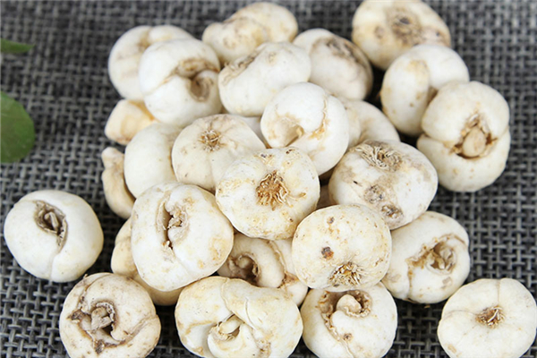 平貝母可以燉雪梨嗎 平貝母煮梨多久能吃 平貝母可以燉雪梨嗎 平貝母煮梨多久能吃