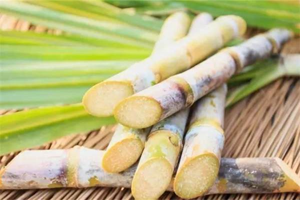 甘蔗會讓人發(fā)胖嗎 甘蔗減肥是能吃嗎 甘蔗會讓人發(fā)胖嗎 甘蔗減肥是能吃嗎