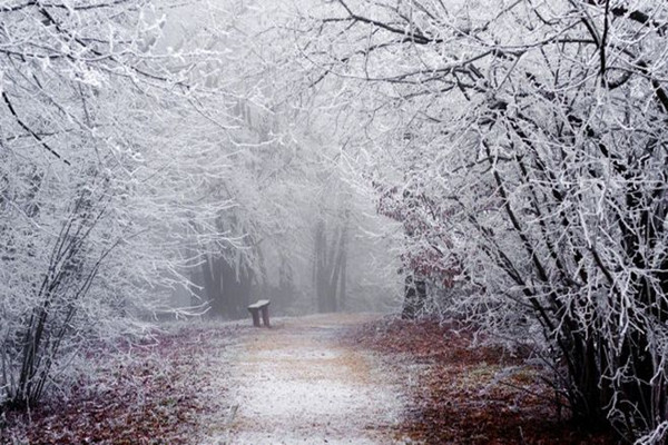 大雪節(jié)氣是幾月幾號2021年 大雪節(jié)氣是什么意思 大雪節(jié)氣是幾月幾號2021年 大雪節(jié)氣是什么意思