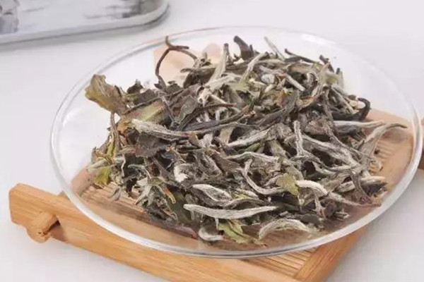 白茶是涼性還是熱性 白茶是不是年份越久越好 白茶是涼性還是熱性 白茶是不是年份越久越好