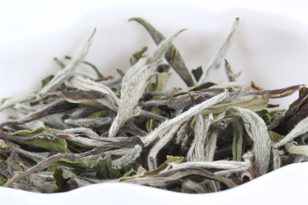 白茶適合什么季節(jié)喝 白茶什么時(shí)間段喝最好 白茶適合什么季節(jié)喝 白茶什么時(shí)間段喝最好