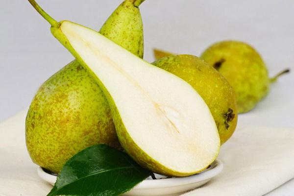 啤梨有啤酒的味道嗎 啤梨有核嗎 啤梨有啤酒的味道嗎 啤梨有核嗎