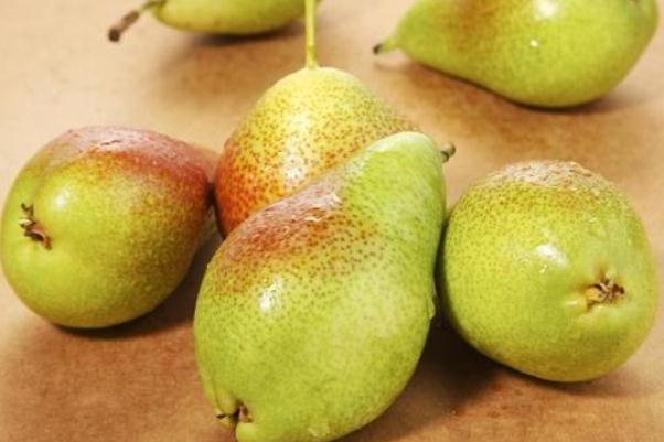 啤梨有啤酒的味道嗎 啤梨有核嗎 啤梨有啤酒的味道嗎 啤梨有核嗎