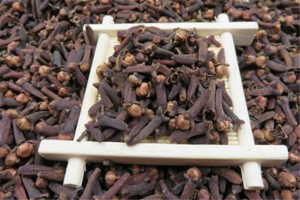丁香對胃有什么好處 丁香養(yǎng)胃還是傷胃 丁香對胃有什么好處 丁香養(yǎng)胃還是傷胃