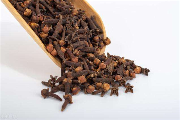 丁香公母有什么區(qū)別 丁香有公母之分嗎 丁香公母有什么區(qū)別 丁香有公母之分嗎