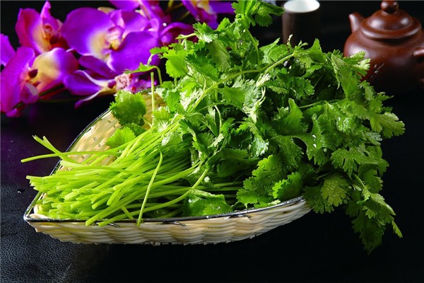 香菜降血壓嗎 香菜吃了對(duì)身體有什么好處