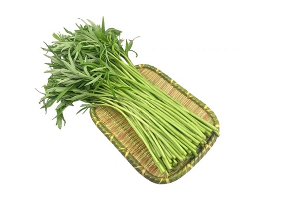 泥蒿是茼蒿嗎 泥蒿和茼蒿的區(qū)別 泥蒿是茼蒿嗎 泥蒿和茼蒿的區(qū)別