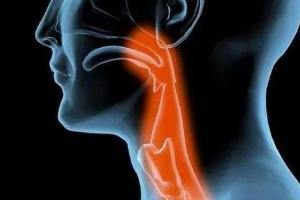 食道癌早期是什么癥狀 全球有一半食道癌患者在中國(guó) 食道癌早期是什么癥狀 全球有一半食道癌患者在中國(guó)