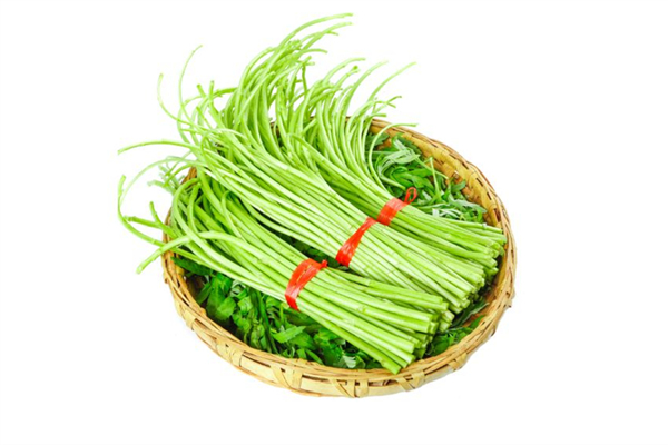 泥蒿是茼蒿嗎 泥蒿和茼蒿的區(qū)別 泥蒿是茼蒿嗎 泥蒿和茼蒿的區(qū)別