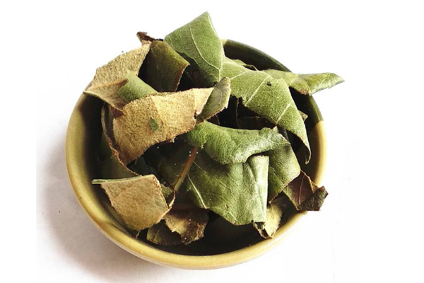 枇杷葉是中藥嗎 枇杷葉是涼性還是熱性 枇杷葉是中藥嗎 枇杷葉是涼性還是熱性