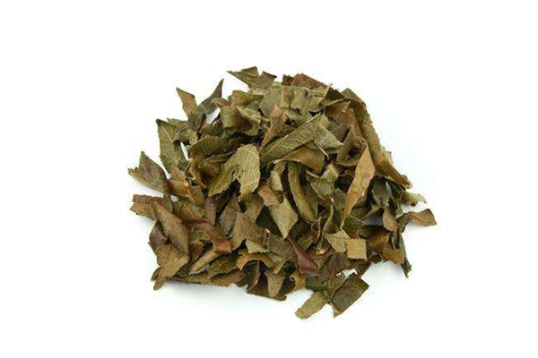 枇杷葉是中藥嗎 枇杷葉是涼性還是熱性 枇杷葉是中藥嗎 枇杷葉是涼性還是熱性