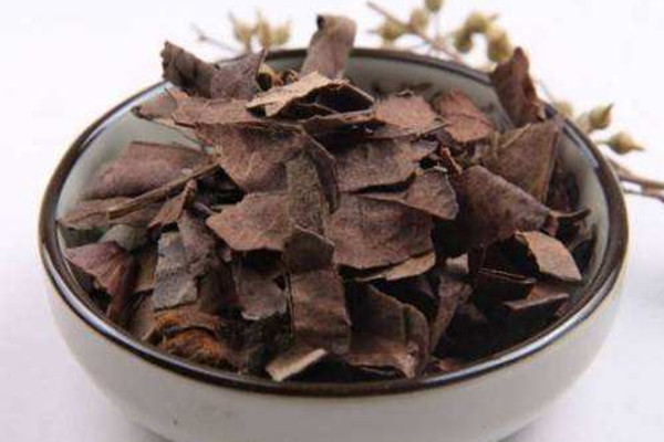 枇杷葉煮水可以治咳嗽嗎 枇杷葉煮水可以治療咽喉炎嗎