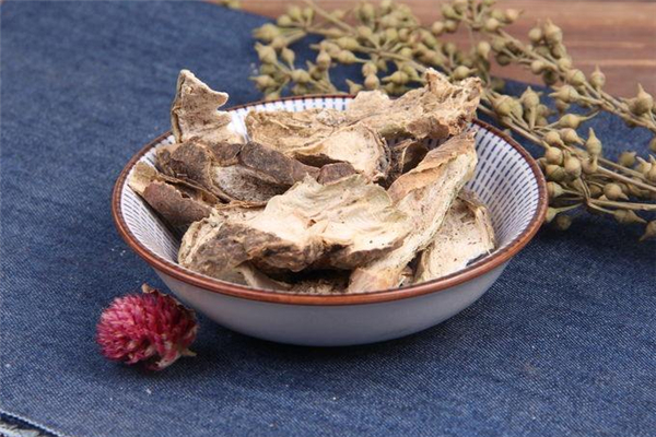 仙人掌的功效和作用 仙人掌可以煮水喝嗎 仙人掌的功效和作用 仙人掌可以煮水喝嗎