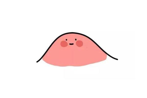 青春痘會長在哪些部位 青春痘會長在背上嗎 青春痘會長在哪些部位 青春痘會長在背上嗎