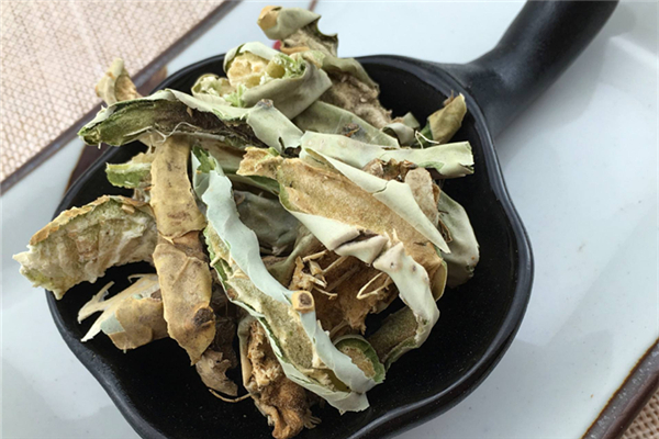 仙人掌的功效和作用 仙人掌可以煮水喝嗎 仙人掌的功效和作用 仙人掌可以煮水喝嗎