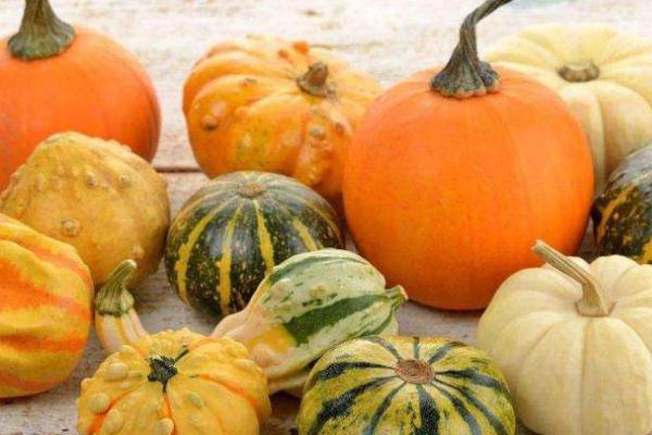 南瓜是粗糧嗎 南瓜是蔬菜嗎 南瓜是粗糧嗎 南瓜是蔬菜嗎