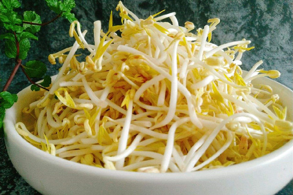 綠豆芽是高嘌呤食物嗎 綠豆芽痛風患者能吃嗎 綠豆芽是高嘌呤食物嗎 綠豆芽痛風患者能吃嗎