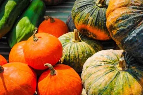 南瓜是粗糧嗎 南瓜是蔬菜嗎 南瓜是粗糧嗎 南瓜是蔬菜嗎