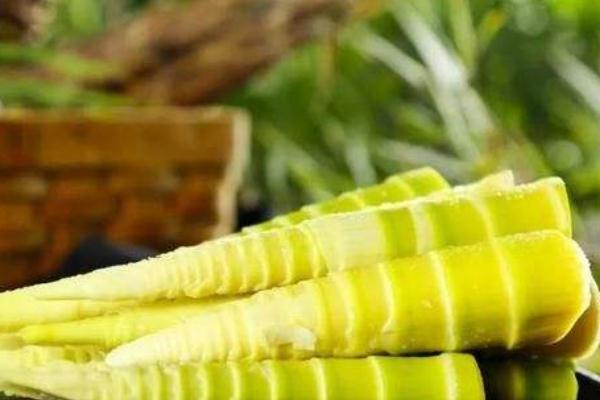 春筍要?jiǎng)兊绞裁闯潭?春筍要怎么保存 春筍要?jiǎng)兊绞裁闯潭?春筍要怎么保存