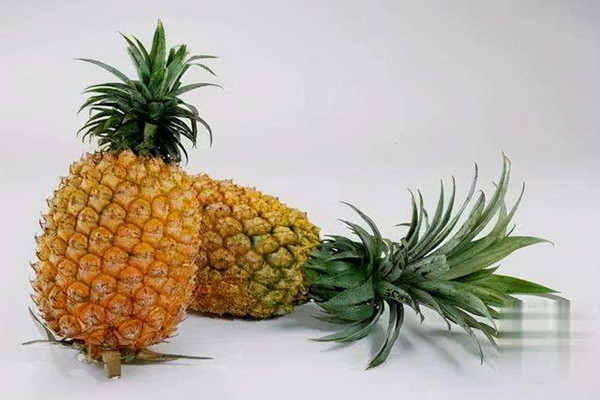 菠蘿一定要用鹽水泡嗎 菠蘿泡鹽水要泡多久 菠蘿一定要用鹽水泡嗎 菠蘿泡鹽水要泡多久