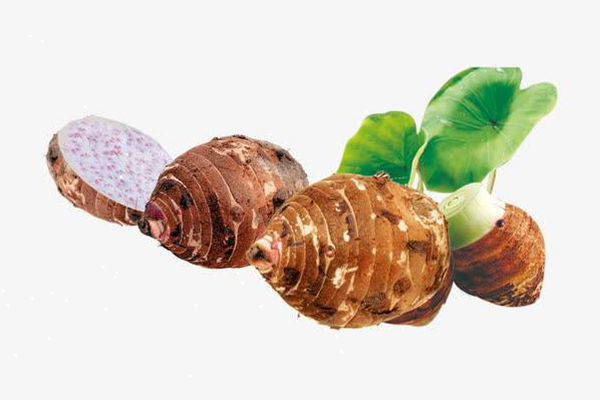 芋頭是不是涼性食物 芋頭是什么季節(jié)的 芋頭是不是涼性食物 芋頭是什么季節(jié)的