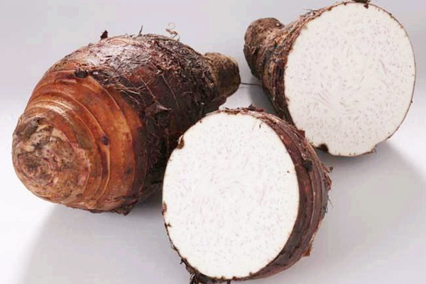 芋頭能和牛奶一起吃嗎 芋頭能和螃蟹一起吃嗎 芋頭能和牛奶一起吃嗎 芋頭能和螃蟹一起吃嗎