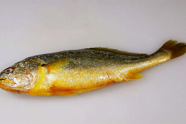 黃花魚有刺嗎 黃花魚適合孩子吃嗎 黃花魚有刺嗎 黃花魚適合孩子吃嗎