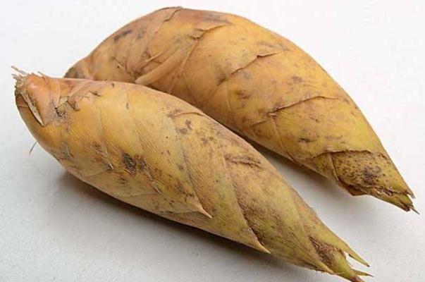 冬筍的功效和作用 冬筍每斤40元價(jià)格貴過(guò)肉 冬筍的功效和作用 冬筍每斤40元價(jià)格貴過(guò)肉