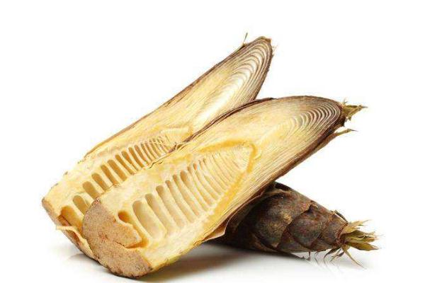 冬筍的功效和作用 冬筍每斤40元價(jià)格貴過(guò)肉 冬筍的功效和作用 冬筍每斤40元價(jià)格貴過(guò)肉