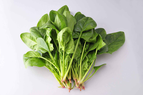 菠菜什么人不能吃 菠菜適合什么人吃 菠菜什么人不能吃 菠菜適合什么人吃