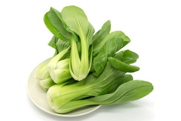 上海青是涼性的嗎 上海青是油菜嗎 上海青是涼性的嗎 上海青是油菜嗎