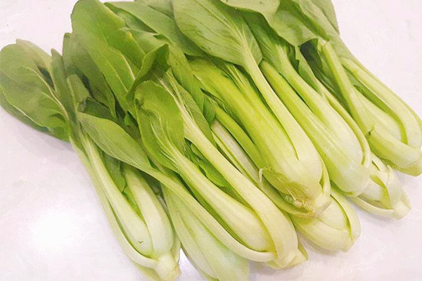 上海青是涼性的嗎 上海青是油菜嗎 上海青是涼性的嗎 上海青是油菜嗎