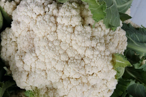 花菜和西藍(lán)花的營養(yǎng)區(qū)別 花菜和什么菜搭配好吃