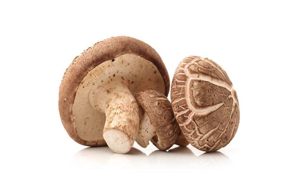 香菇是不是發(fā)物 香菇的嘌呤含量高不高 香菇是不是發(fā)物 香菇的嘌呤含量高不高