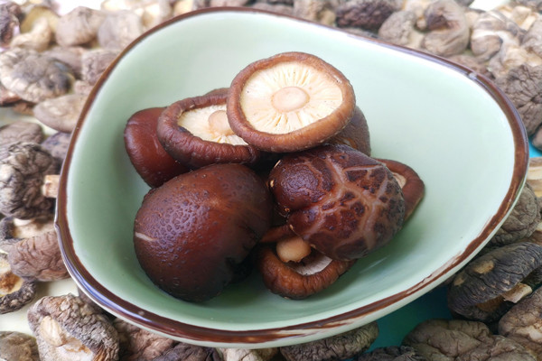 香菇會不會上火 香菇會不會過敏 香菇會不會上火 香菇會不會過敏