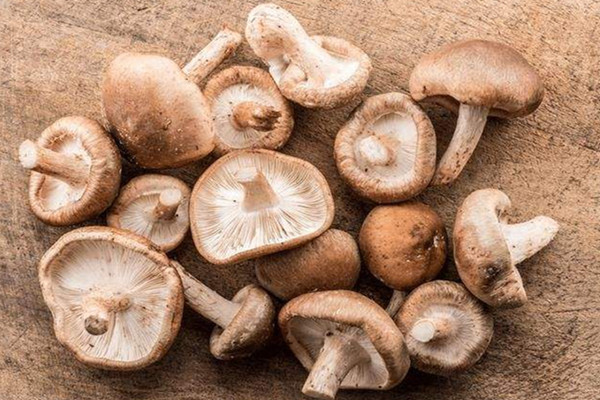 香菇有哪些營養(yǎng)價(jià)值 香菇有點(diǎn)發(fā)霉了還能吃嗎