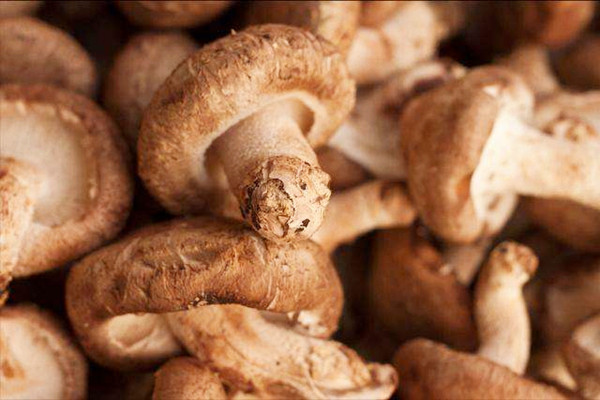 香菇有哪些營養(yǎng)價(jià)值 香菇有點(diǎn)發(fā)霉了還能吃嗎