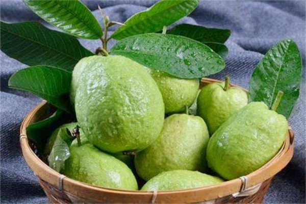 番石榴的熱量是多少大卡 番石榴減肥期間可以吃嗎 番石榴的熱量是多少大卡 番石榴減肥期間可以吃嗎