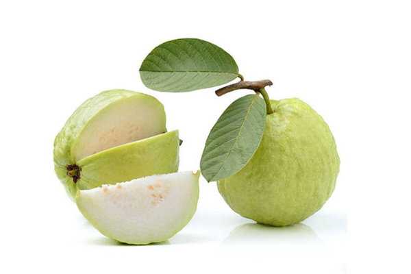 番石榴哪些人不能吃 番石榴能空腹吃嗎 番石榴哪些人不能吃 番石榴能空腹吃嗎