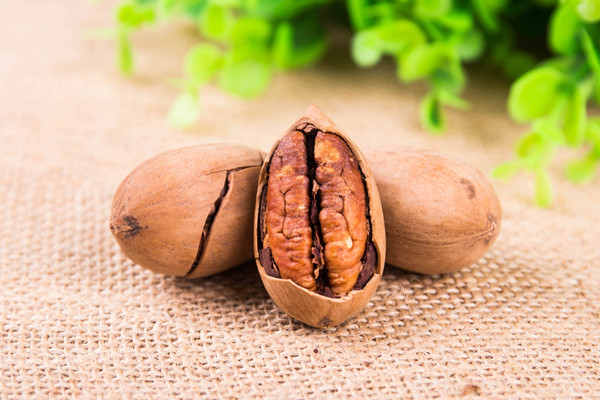 百草味碧根果保質(zhì)期多久 百草味碧根果過期了還能吃嗎 百草味碧根果保質(zhì)期多久 百草味碧根果過期了還能吃嗎