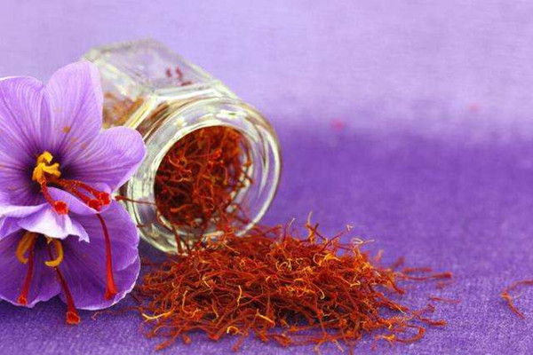 藏紅花泡水喝會(huì)上火嗎 藏紅花泡水喝會(huì)拉肚子嗎