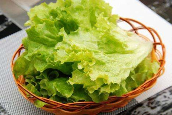 生菜孕婦可以吃嗎 生菜孕婦吃了有什么好處 生菜孕婦可以吃嗎 生菜孕婦吃了有什么好處
