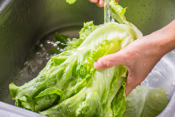 生菜孕婦可以吃嗎 生菜孕婦吃了有什么好處 生菜孕婦可以吃嗎 生菜孕婦吃了有什么好處