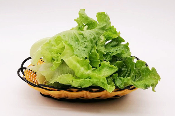 生菜能和西紅柿一起吃嗎 生菜能和黃瓜一起吃嗎 生菜能和西紅柿一起吃嗎 生菜能和黃瓜一起吃嗎