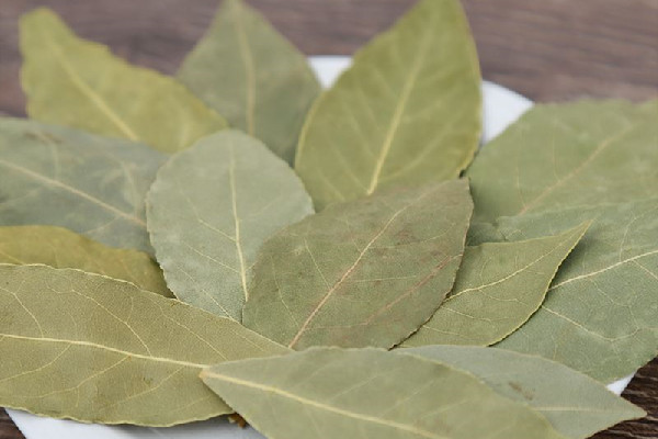 香葉怎么區(qū)分真假 香葉怎么分辨好壞 香葉怎么區(qū)分真假 香葉怎么分辨好壞